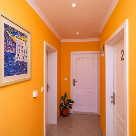 Niki Zvekovica Apartment *