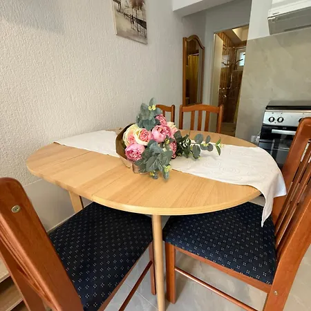 Apartment Niki Zvekovica